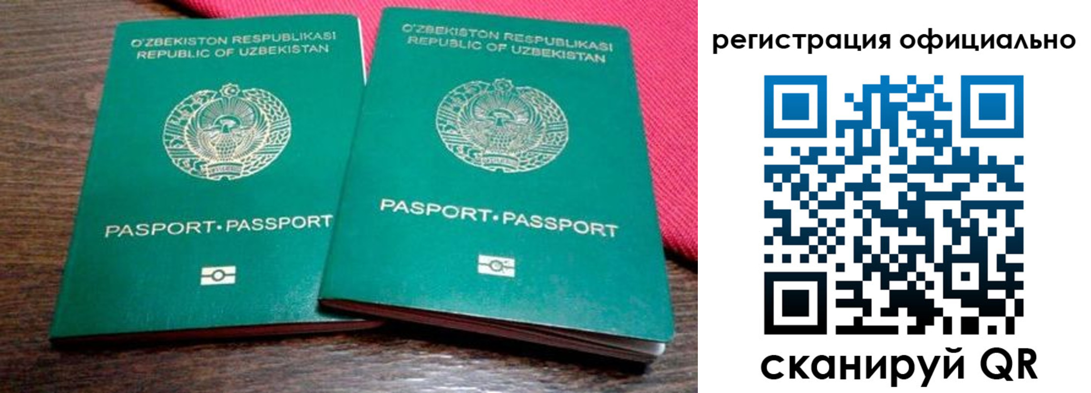 прописка регистрация в Бердске
